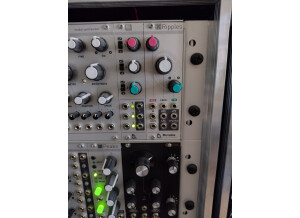 Mutable Instruments Ripples (70798)