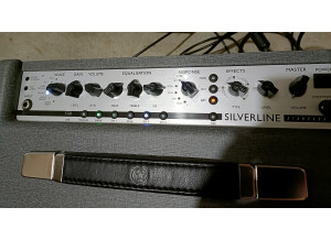 Blackstar Amplification Silverline Standard (99819)
