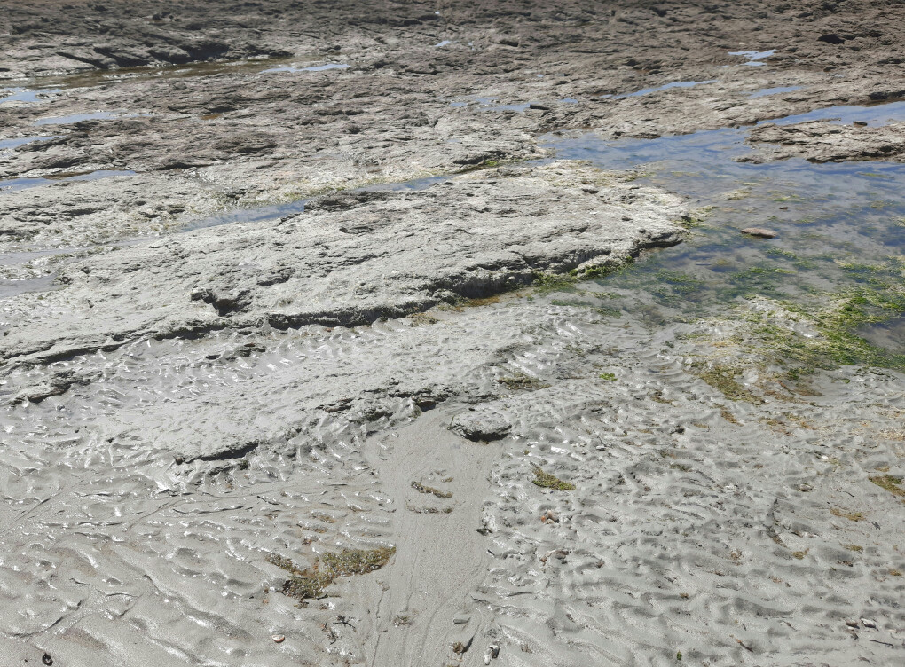 5714026.jpg 5714026.jpg