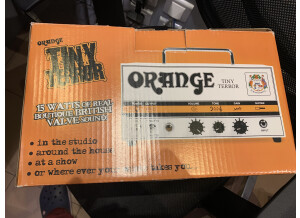 Orange Tiny Terror (41942)