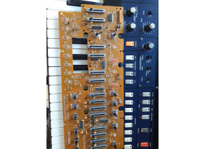 Roland JP-8000 (43363)
