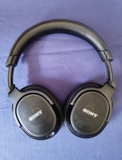 IMG 20230601 145937 IMG 20230601 145937