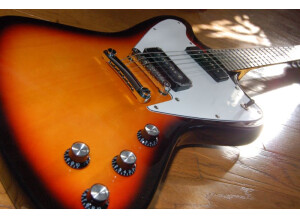 Eastwood Guitars Stormbird (28856)