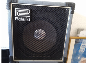 Roland Cube 40 Vintage (738)