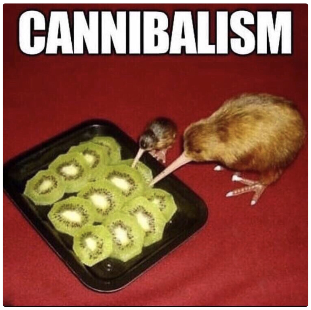 5717083.png 5717083.png