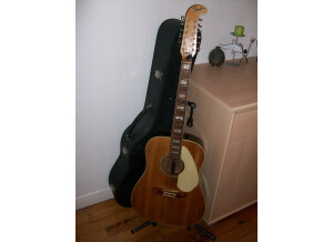 Fender shenandoah 12