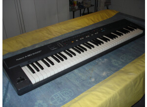 Roland A-30 (22550)