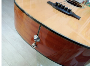 Takamine GB30CE