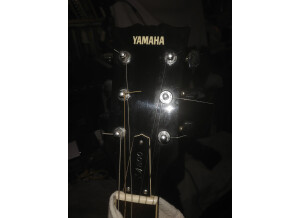 Yamaha SA800 Crosse face