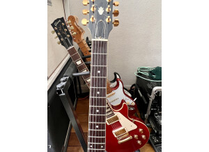 Gibson ES-335 Dot (59065)