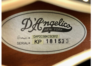 D'angelico Premier DC 12-string (35972)