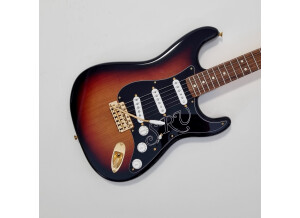 Fender Stevie Ray Vaughan Stratocaster (18231)