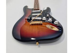 Fender Stevie Ray Vaughan Stratocaster (79387)