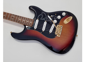 Fender Stevie Ray Vaughan Stratocaster (75848)