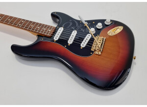 Fender Stevie Ray Vaughan Stratocaster (74290)
