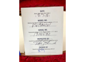 Gibson Flying V 2019 (78454)