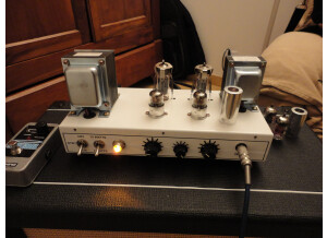 Orange TinyTerror TT15H