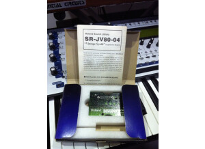 Roland SR-JV80-04 Vintage Synthesizer (5841)