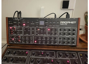 Dave Smith Instruments Prophet Rev2 Module 8 voix (15291)
