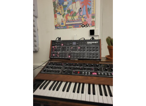 Dave Smith Instruments Prophet Rev2 Module 8 voix (66443)