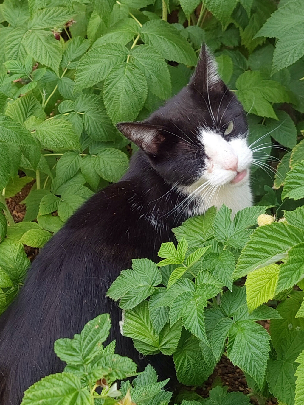 5721981.jpg 5721981.jpg