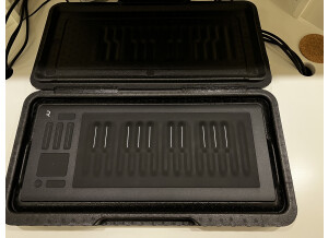 ROLI Seaboard Rise 25 (39749)