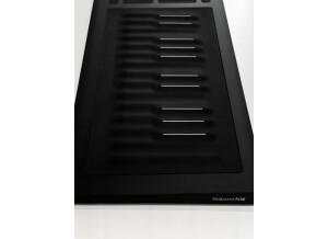 ROLI Seaboard Rise 25 (66446)