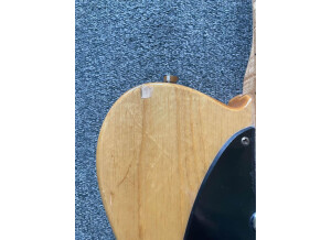 Fender Special Edition Lite Ash Telecaster (16509)