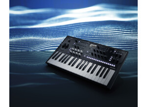Korg Wavestate (86267)