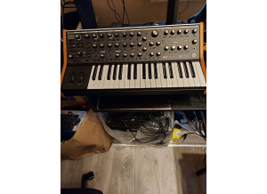Moog Music Subsequent 37 (27651)