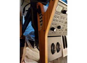 Moog Music Subsequent 37 (99333)