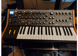 Moog Music Subsequent 37 (69949)