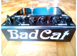 Bad Cat 2-Tone