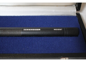 Sennheiser MKH 816 P48 (99647)