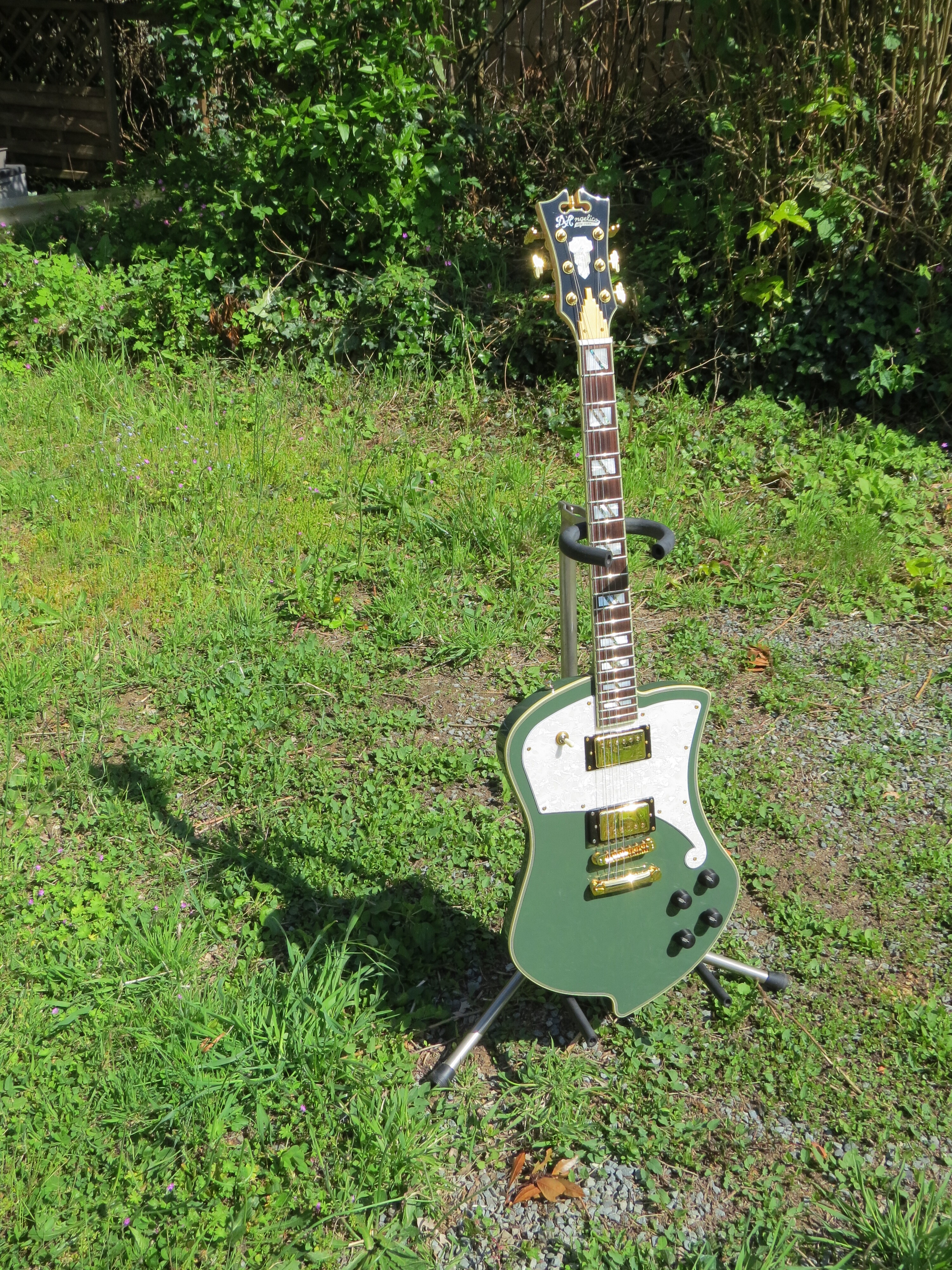 Vends / Echange D'Angelico Ludlow Deluxe en Hunter Green
