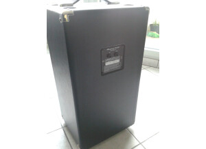 Ampeg SVT-210AV (69214)