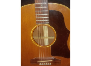 Gibson B25 N (1)