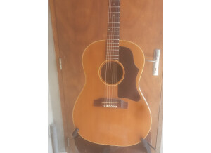 Gibson B25 N (2)