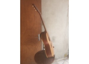 Gibson B25 N (3)