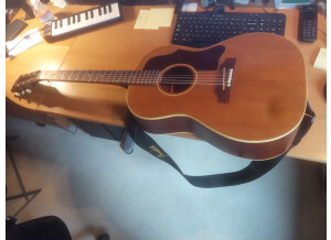 Gibson B25 N (4)