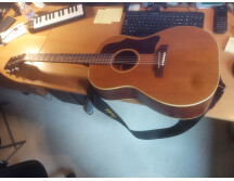 Gibson B25 N