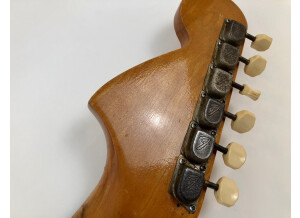 Fender Mustang [1964-1982] (38031)