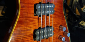 Basse SV Power Bass