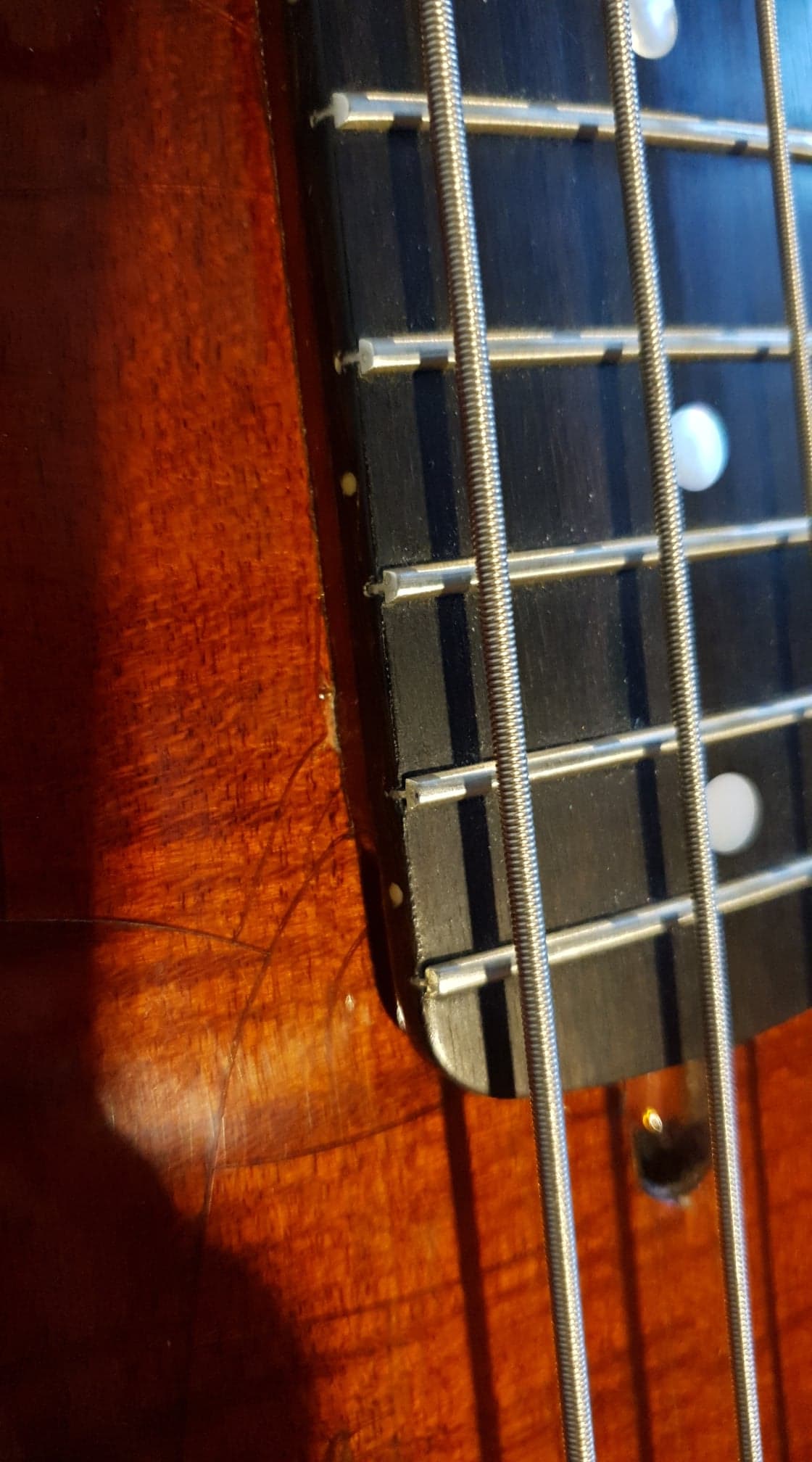 SV BASS 13