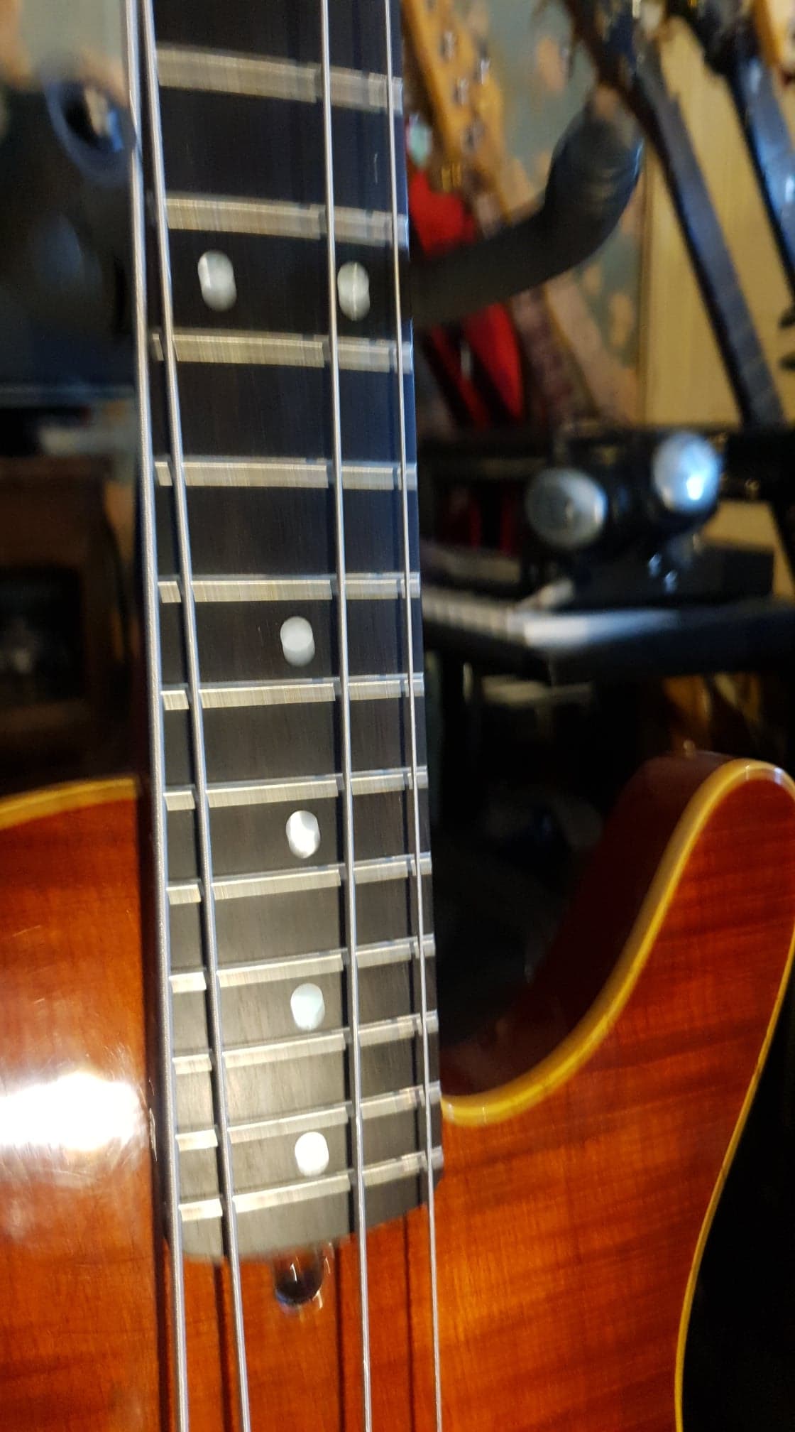 SV BASS  2BIS