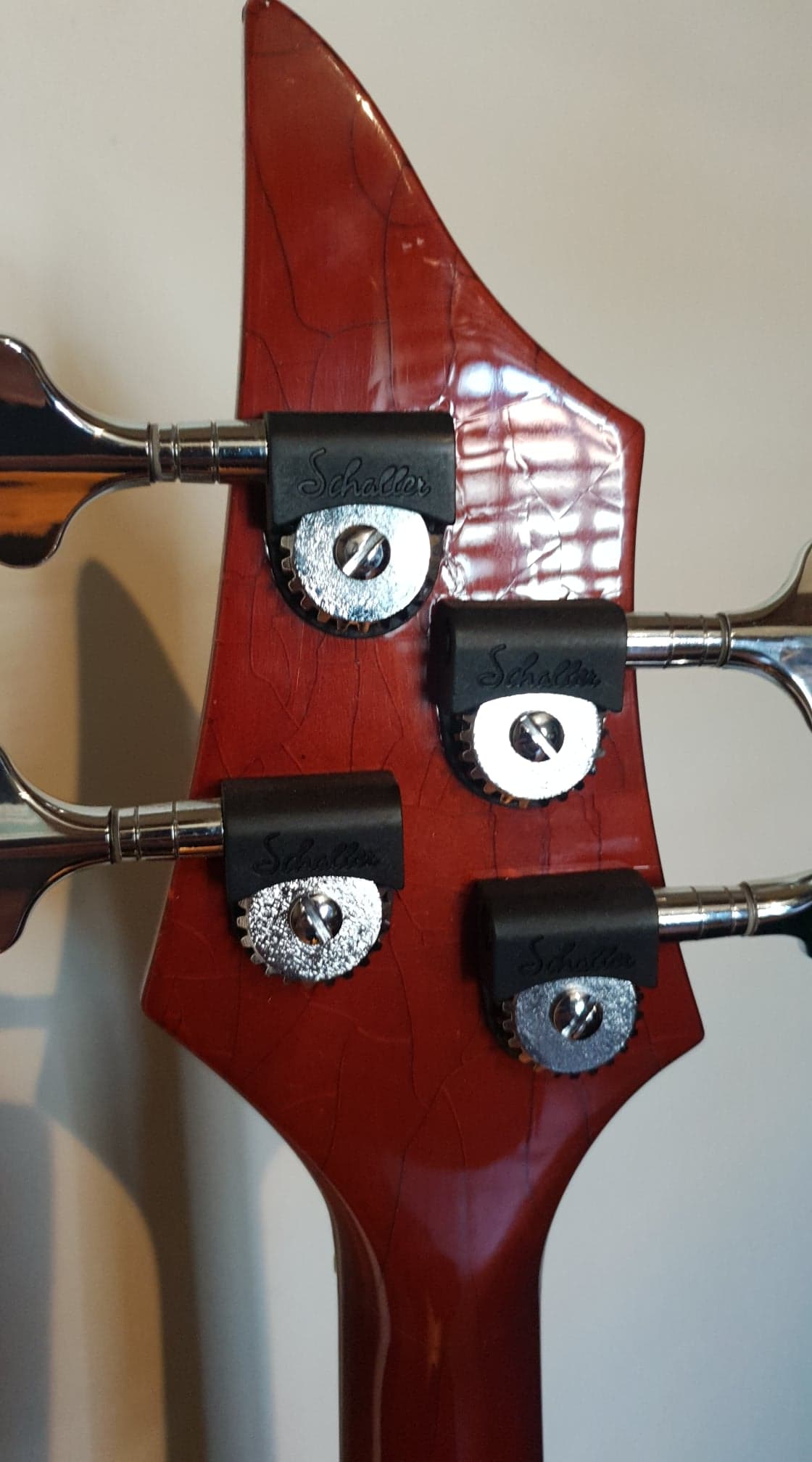 SV BASS  5
