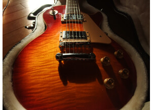 Gibson Les Paul Traditional 2013 (27711)