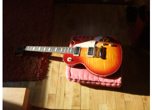 Gibson Les Paul Traditional 2013 (78349)