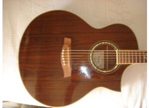 Pictures and images Ibanez EW20WNE Audiofanzine