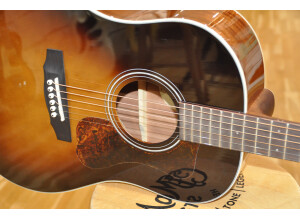 Guild DS-240 Memoir (51894)